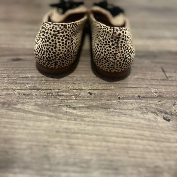 Sole Society Hadlee Dotted Leopard Print Hair Calf Tassel Loafers – Size 5 - Picture 4 of 11